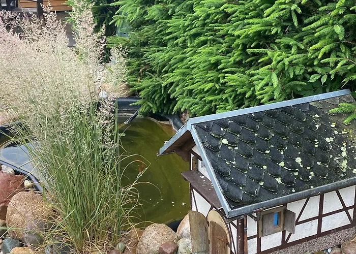 Holzhaus Harz Schielo